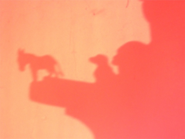 Albert Goederond- Cheer up ! Colorprint 75 x 100 cm, 2013.